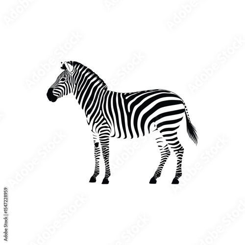 A black silhouette of a zebra in a natural pose, clean and minimal design, white background