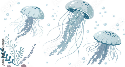 jellyfish in the water Flat vector illustration set of floating jellyfish graceful marine creatures from the ocean, with gelatinous forms and underwater movement.