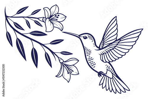 Graceful Flying Hummingbird in Motion