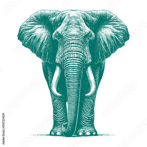 African Elephant Vector