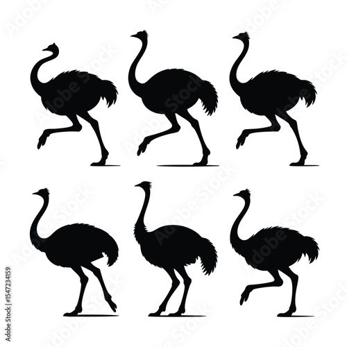 Six Ostrich Silhouettes: A Running Sequence