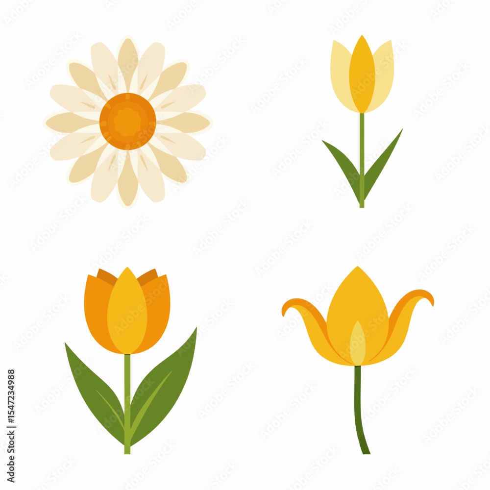 custom made wallpaper toronto digitalColorful floral illustrations featuring daisy and tulip designs  