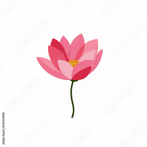Pink lotus flower illustration on white background  