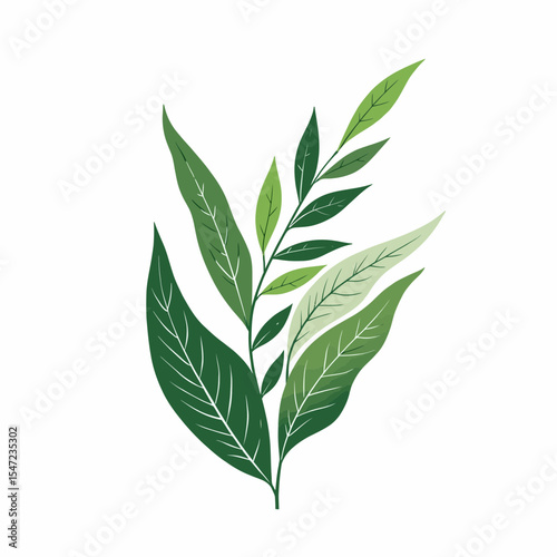 Green leaves arrangement in botanical style on white background  