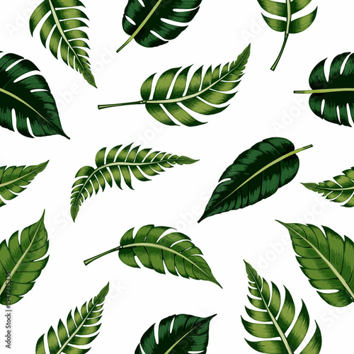 Various green leaves arranged on a white background  