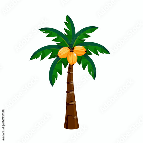 Coconut palm tree with ripe coconuts and green leaves  