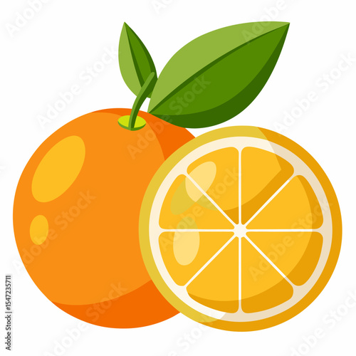 vector illustration of orange
