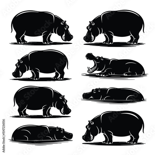 Hippopotamus Silhouettes: A Collection of Poses