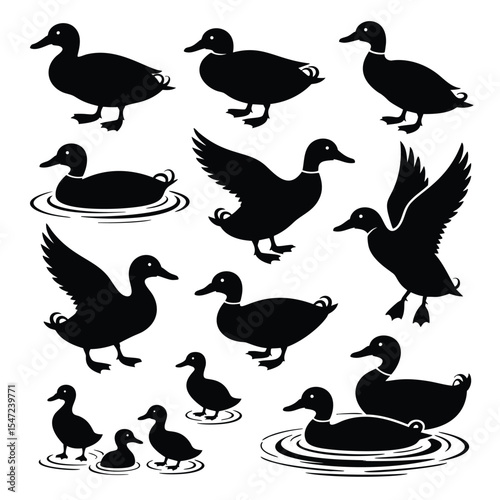 A Collection of Duck Silhouettes: Swimming, Flying, and Resting