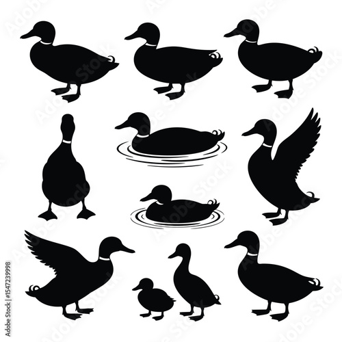 A Collection of Duck Silhouettes: Diverse Poses and Sizes