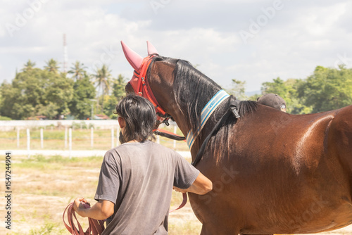 East sumba, Indonesia – 06. 16. 2025 – Trained by skilled handlers, the majestic Sumba horses display impressive health and sturdy physiques