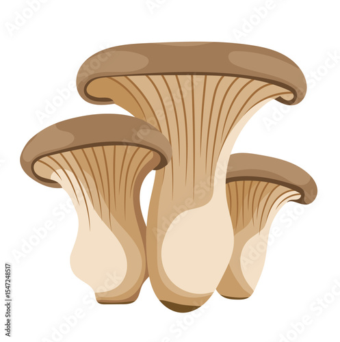 King Oyster Mushrooms Illustration Isolated on White Background