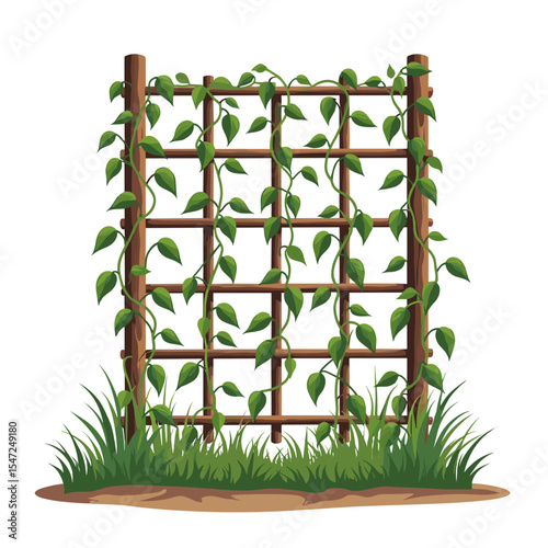 Illustration of a Wooden Garden Trellis with Climbing Vine and Green Leaves in a Garden Setting