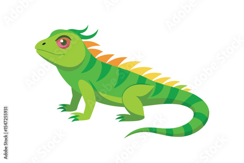 Iguana animal isolated on white background