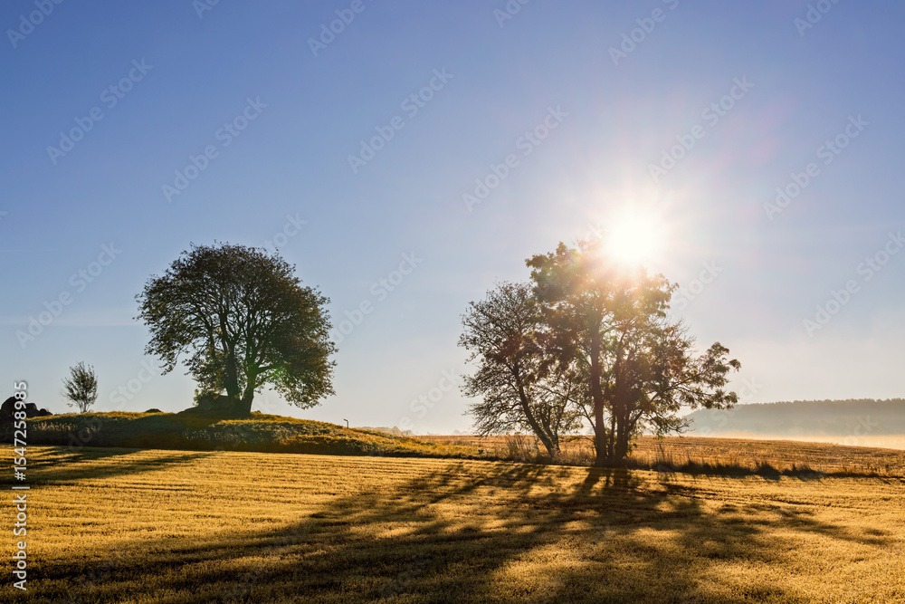 Fototapeta premium Farmland with trees in silhouette that the sun shining through in the countryside