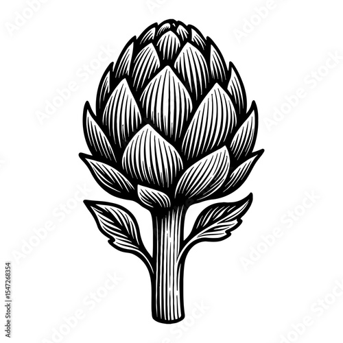 Artichoke with Leaves Engraved Style Black and White Outline Line Art Drawing Illustration