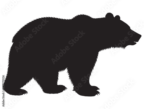 BEAR SILHOUETTE