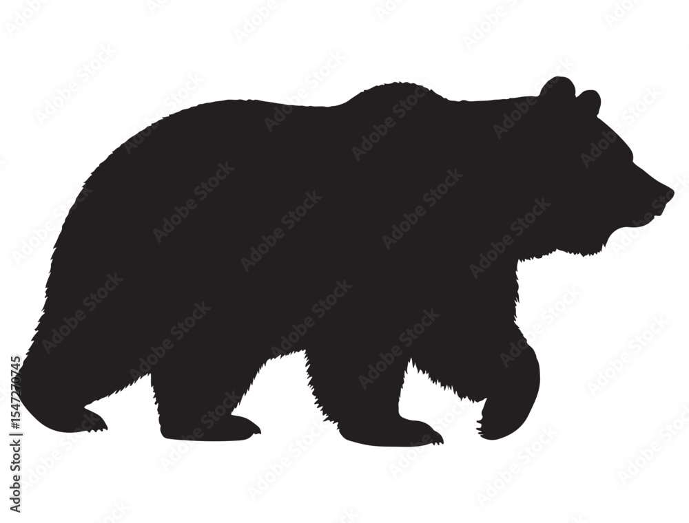Fototapeta premium BEAR SILHOUETTE