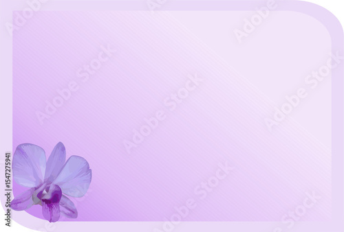 composition of empty space and vector image of purple violet orchid flower