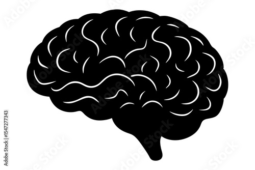 Black Silhouette of Human Brain, Detailed Anatomy Illustration