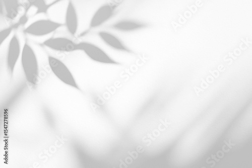 Subtle, soft shadows of leaves with blurred edges, forming a peaceful vibe.