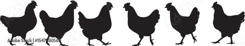 Chicken Silhouette Vector Set Isolated on White Background.