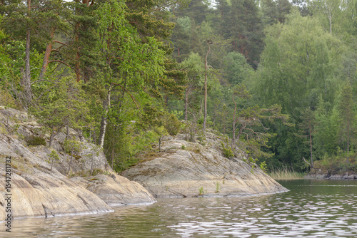 Natural forest edge with weathered rocky slope descending into calm lake water, surrounded by pines, birches, and dense greenery.