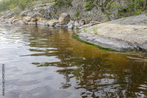 Close view of a rocky lake shore with algae growing at the waterline, reflecting nearby forest and trees in still water.