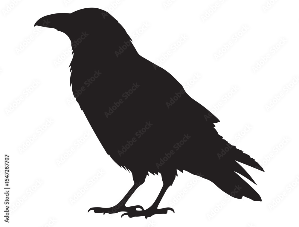 Obraz premium BIRD SILHOUETTE