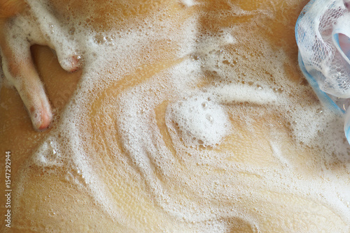 Body cleansing: person washing body with foamy sponge, close-up view of wet skin and soap bubbles during daily shower routine. Concept of personal hygiene,  wellness and self-care rituals at home.