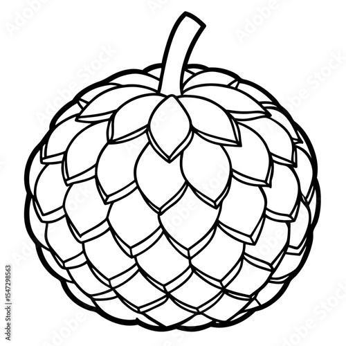 Detailed line art illustration of a whole custard apple with its leafy top