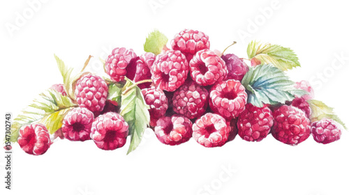 Stack of fresh raspberries with leaves on white background


