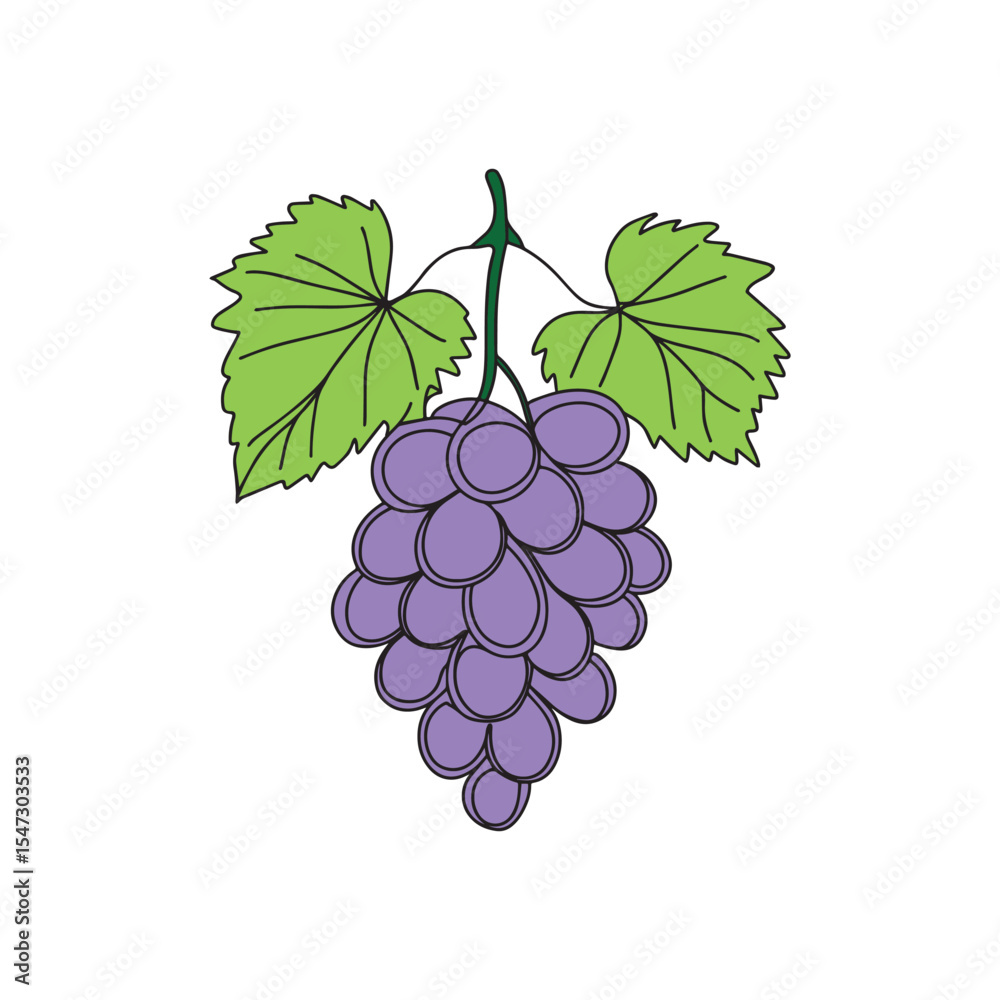 Fototapeta premium Outlined illustration of a grape plant bearing fruit