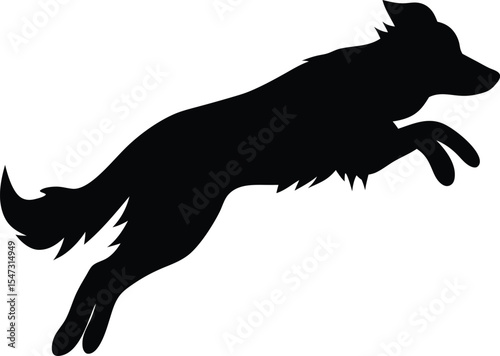 Jumping Border Collie Silhouette: A Dynamic Outline of the Agile Canine in Mid-Air, Ideal for Expressing Energy and Athleticism for Action-Oriented Designs on White Background.