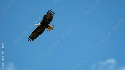 Majestic Bald Eagle in Flight Against a Blue Sky with American Flag