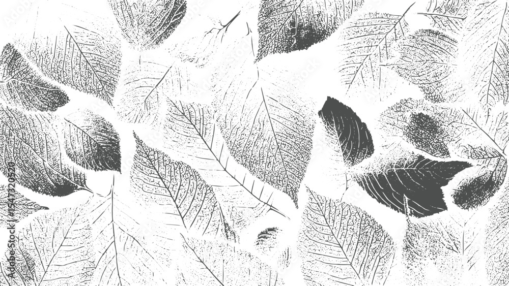 Monochrome Leaf Vein Pattern Detailed Gray Scale Botanical Print Overlapping Leaves Natural Texture White Background Detailed Leaf
