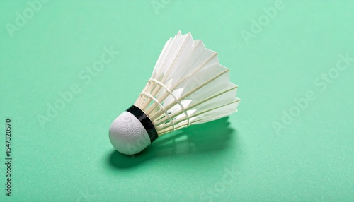 badminton racket and shuttlecock