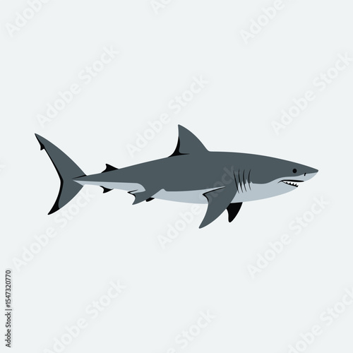 Shark silhouette vector illustration vector white background.