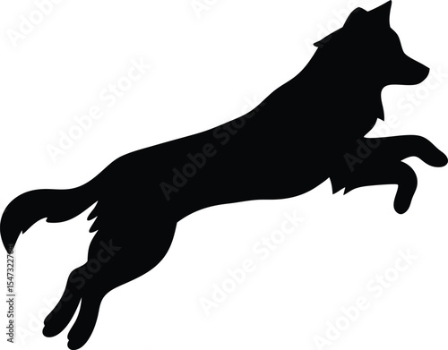 Running Australian Shepherd Silhouette: A Dynamic Outline of the Agile Herding Dog in a Leaping Stride, Ideal for Expressing Intelligence and Spirited Freedom on a Pure White Background.
