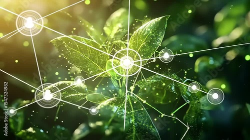 Close-up of vibrant green leaves with digital connections symbolizing nature and technology integration