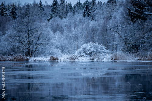 Wallpaper Mural River landscape with snow and frost Torontodigital.ca