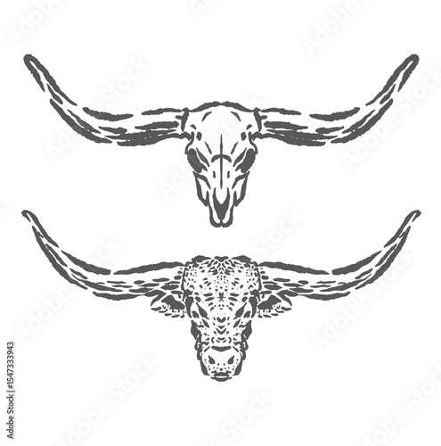 vector sketch illustration of bull head with two modes