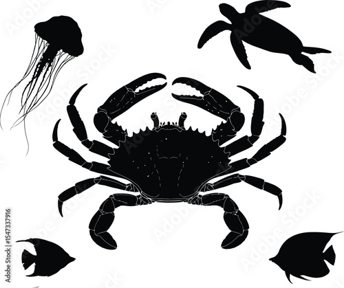 White silhouette vector illustration of various sea.