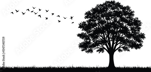 Flying birds with tree silhouette vector, black isolated nature scene, minimal flat landscape, peaceful outdoor art, bird migration, oak tree, grassy ground illustration