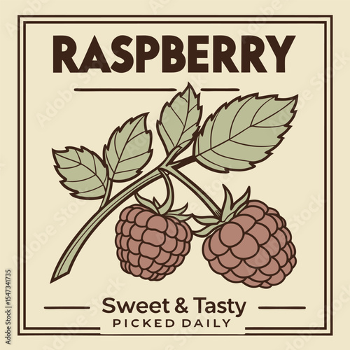 Vintage Style Raspberry Illustration Two Ripe Berries Branch Green Leaves Beige Background Sweet Tasty Picked Daily