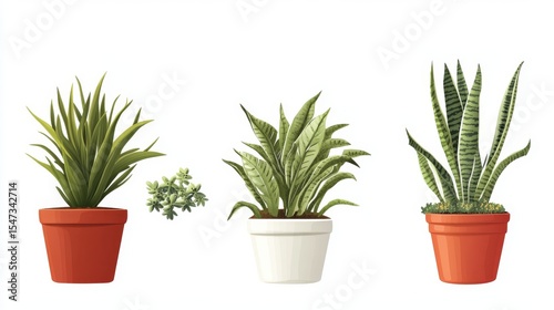 Picture highlighting the difference between toxic and non-toxic house plants for pets