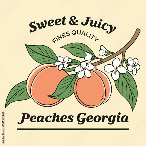 Vintage Style Illustration Two Ripe Georgia Peaches Branch Green Leaves White Blossoms Sweet Juicy Fines Quality