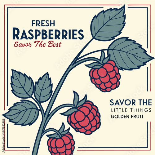 Vintage Style Illustration Featuring Fresh Raspberries on a Branch with Teal Leaves Cream Background Dark Blue and