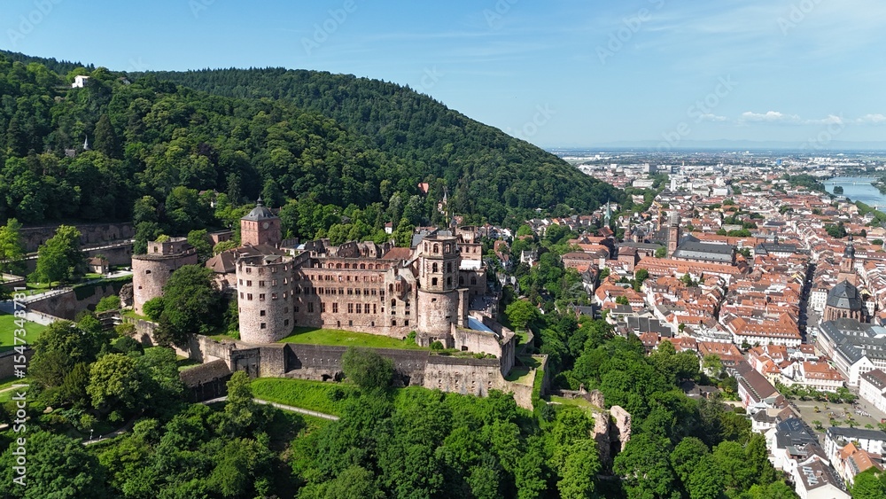 Fototapeta premium Heidelberger Schloss