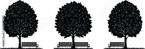Urban park tree silhouette with bench illustration, nature landscape scene vector, relaxing garden environment, outdoor sitting area, black tree bench art design